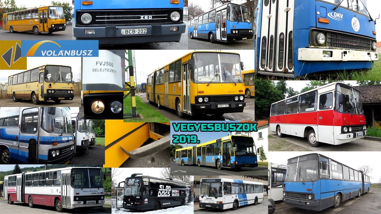Vegyesbuszok: 2019. legjobb pillanatai