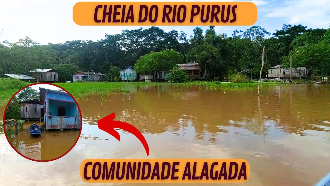 CHEIA DO RIO PURUS - MINHA COMUNIDADE ESTÁ ALAGADA