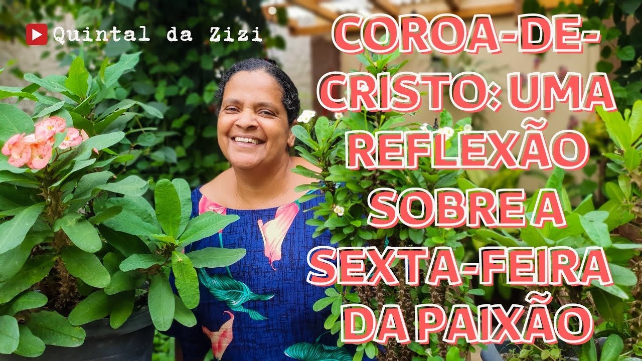 Coroa-de-cristo: uma reflexão sobre a sexta-feira da Paixão