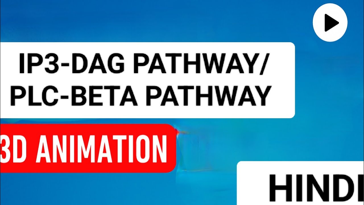 IP3-DAG PATHWAY/PLC-BETA PATHWAY. 