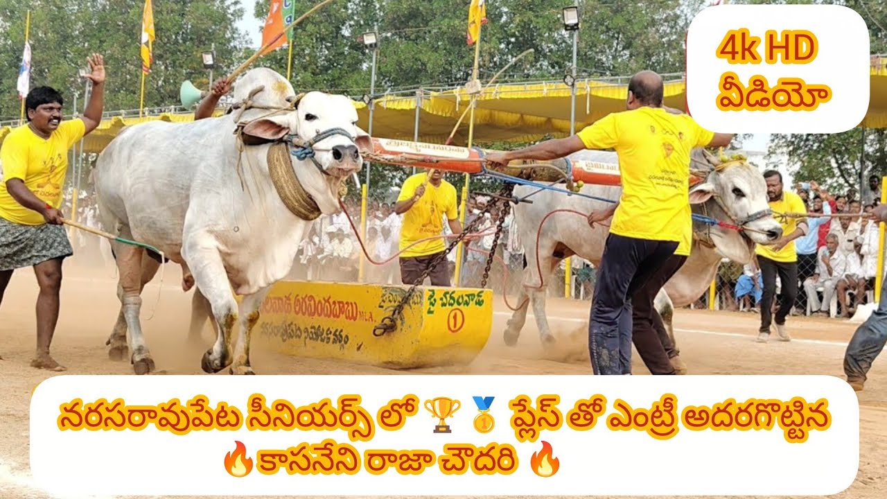 Narasaraopet seniors #kasanneniraja Chowdary  got 🥇🥇🏆🎯💥 #narasaraopet 