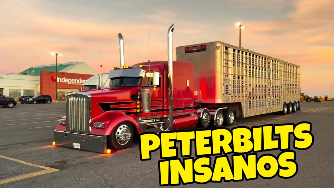 Peterbilts INSANOS, CONFIRA! #carreta #caminhao #caminhoneiro #peterbilt #viral 