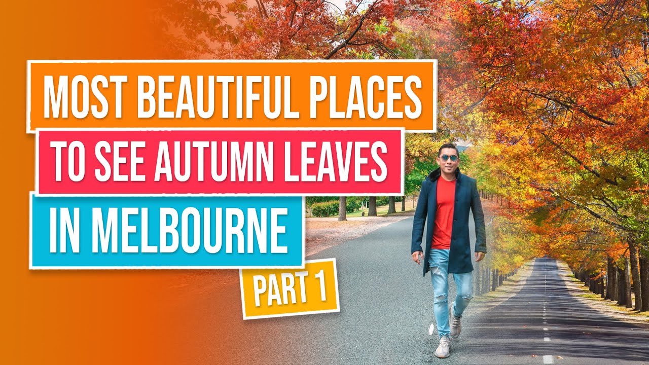 MOST BEAUTIFUL PLACES TO SEE AUTUMN LEAVES IN MELBOURNE | Mount Macedon | Shoestring Traveller
