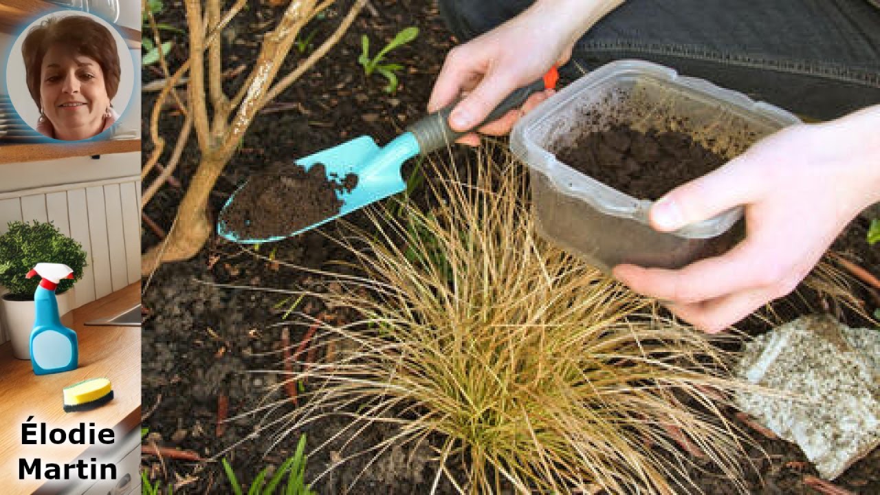 Transformez votre jardin : Utilisez le caf&eacute; et le marc de caf&eacute; comme engrais efficace !