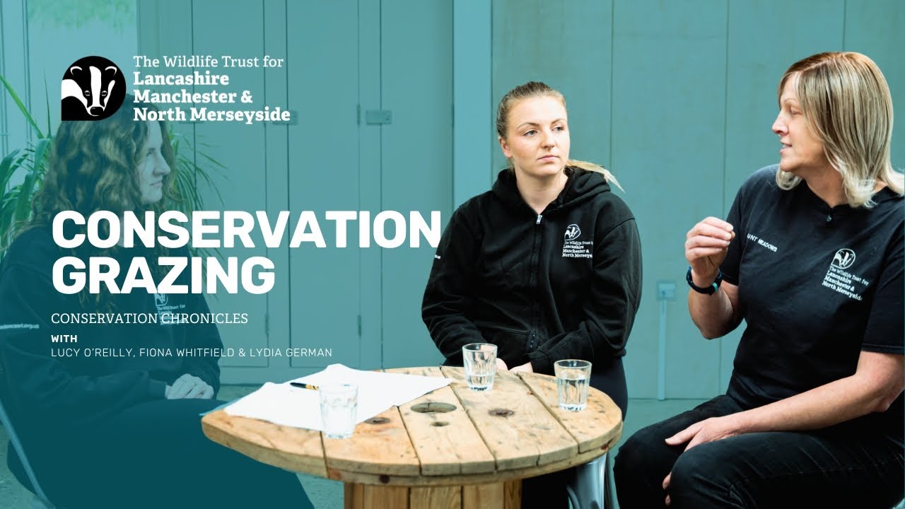 Conservation grazing: how livestock are restoring wildlife habitats