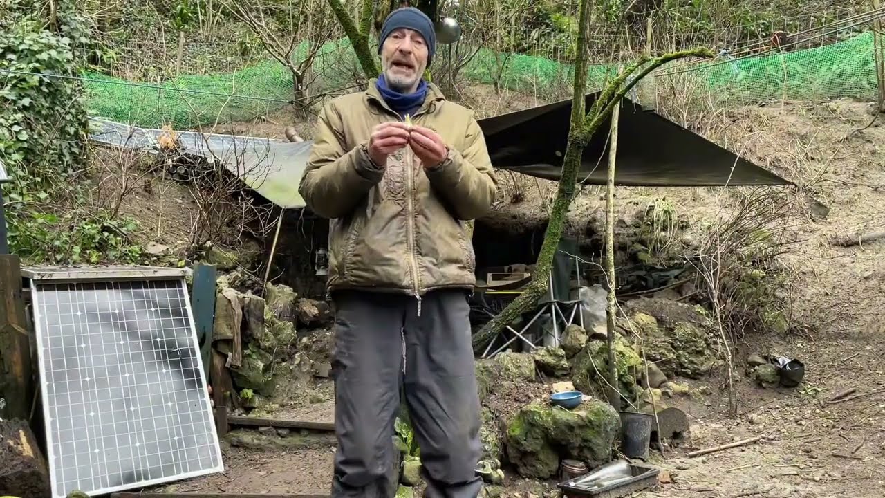 Growing sprouting garlic in winter