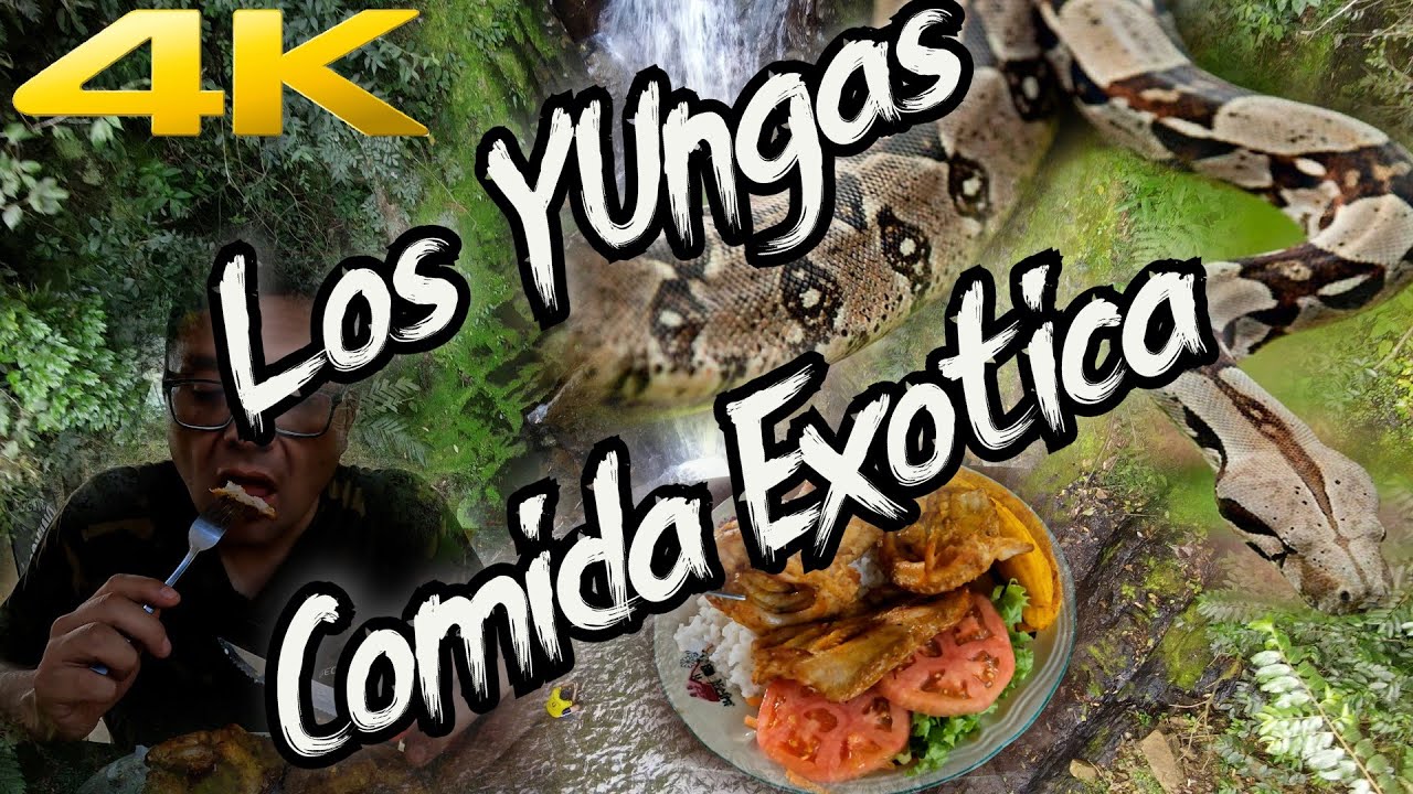 Caranavi dia 2 Los Yungas La Paz - Bolivia