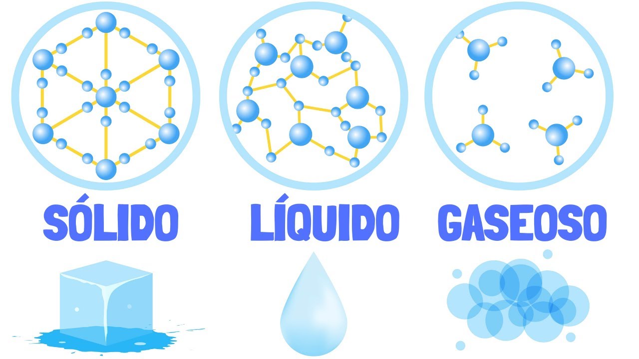 Los ESTADOS DE AGREGACI&Oacute;N DE LA MATERIA: qu&eacute; son y cu&aacute;les son (con EJEMPLOS)🤓🔬