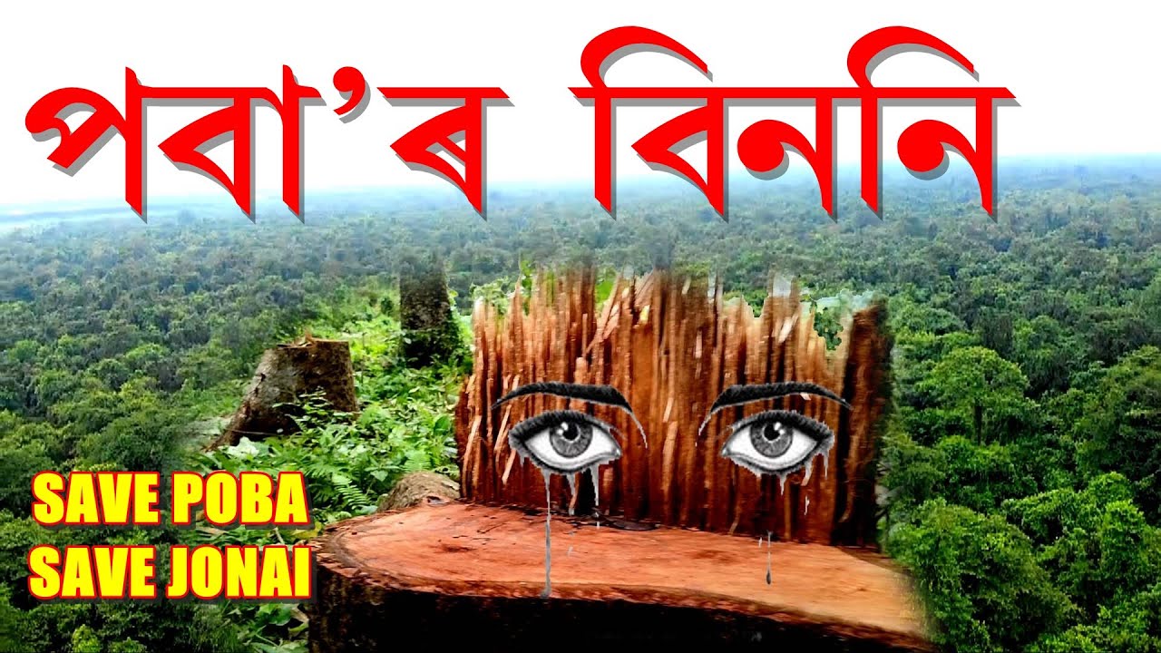 POBA RAIN FOREST,JONAI