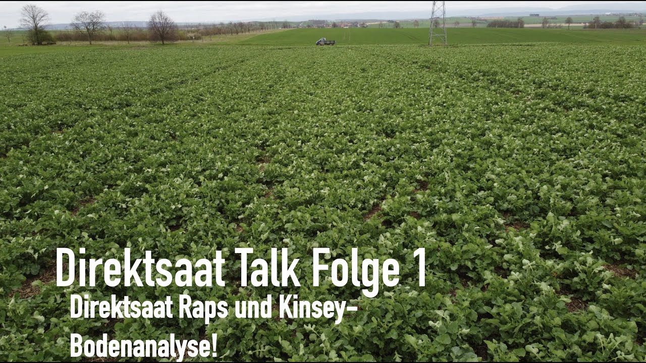 Direktsaat Talk Folge 1!!! Direktsaat Raps und Kinsey Bodenanalyse