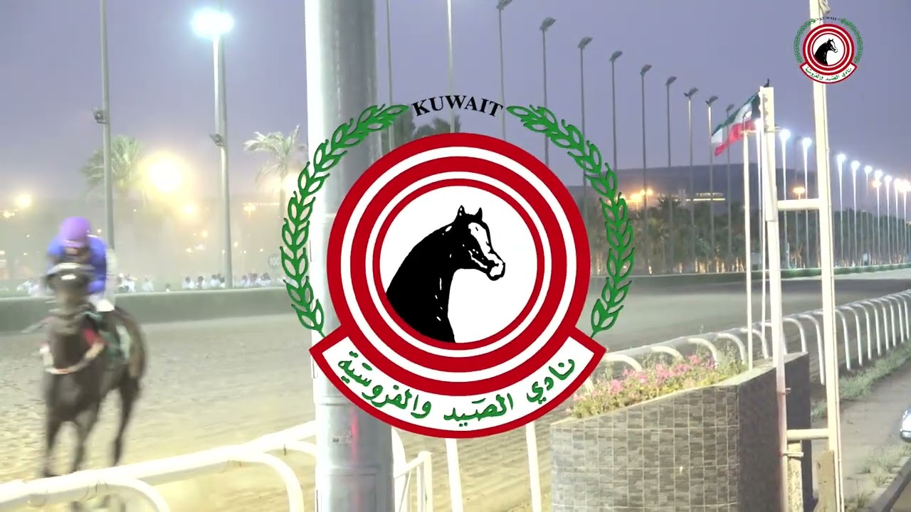 الاجتماع ( 24 ) الشوط ( 3 ) الجواد مياد جولد / اسطبل البرازي