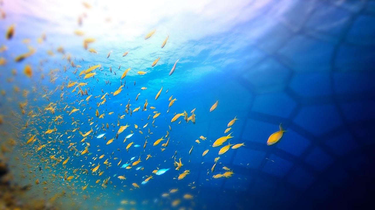 #30 RETURN TO FLOW｜Return to what is happening now.