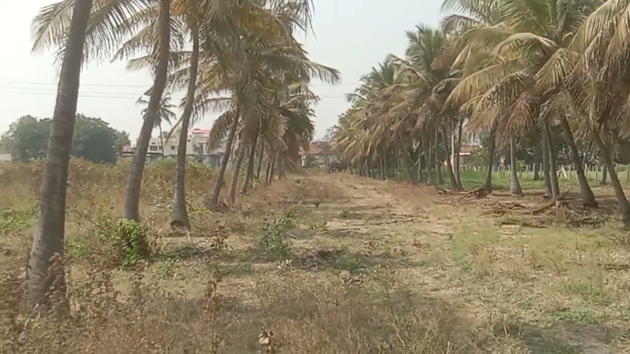30 gunte village atached general property for sale near chanapatana 6 km  more details 7019210522