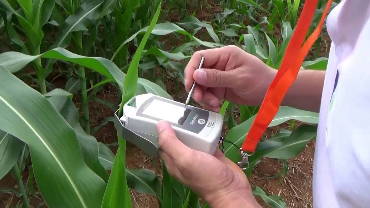 Medidor de reflectância espectral PolyPen RP400 - Pd Instrumentos