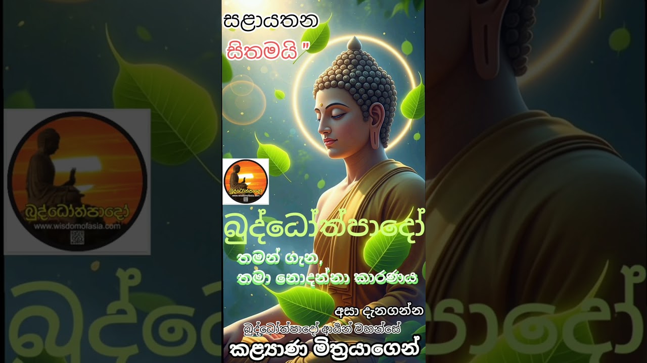 සළායතන ලෝකය යනු, 