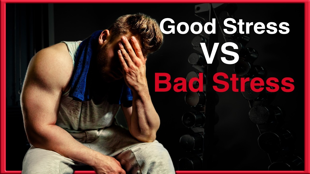 Good Stress, Bad Stress What Helps & Hurts Your Progress