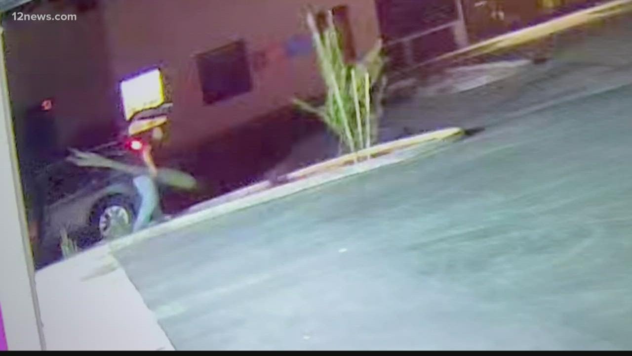 Plant thief steals Ocotillo from Ahwatukee business