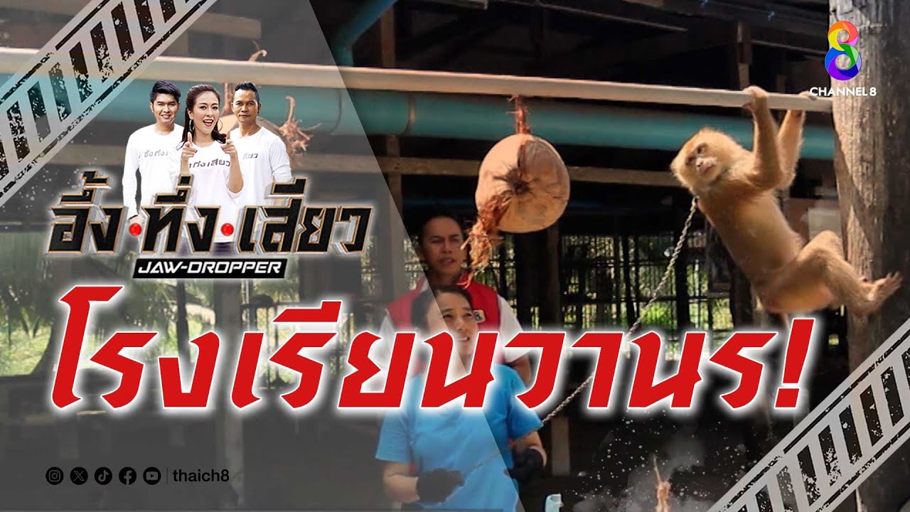 โรงเรียนวานร! | อึ้ง ทึ่ง เสียว