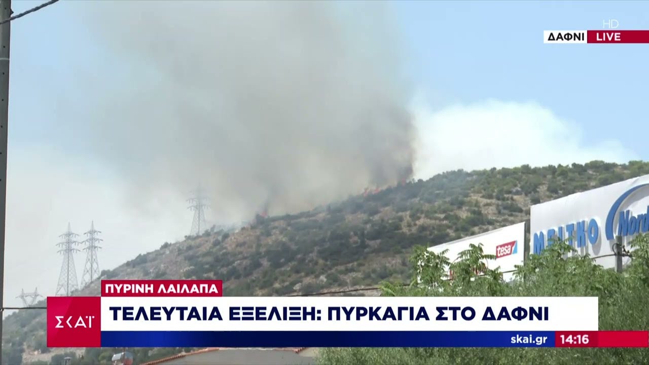 Τελευταία εξέλιξη: Νέα εστία φωτιάς στο Δαφνί | Μεσημβρινό δελτίο | 18/07/2023