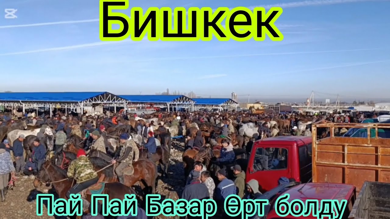 15- Февраль Сокулук жылкы базар 