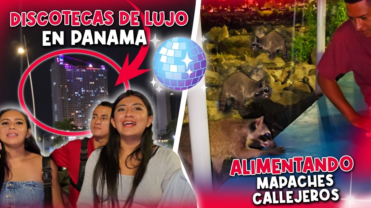 LA VIDA NOCTURNA EN PANAMÁ ES UNA LOCURA🤩 | Por esta razón hay demasiados mapaches🦝 en Panamá🤔