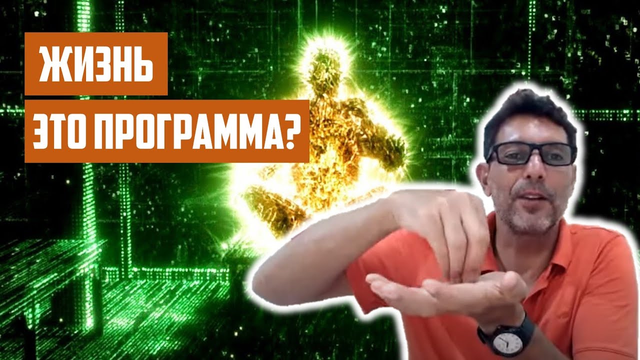 Вся жизнь это программа? | Отрывок беседы