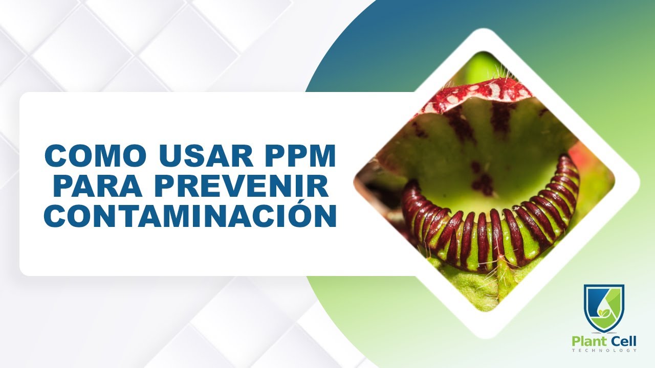 Como usar PPM Para Prevenir Contaminación