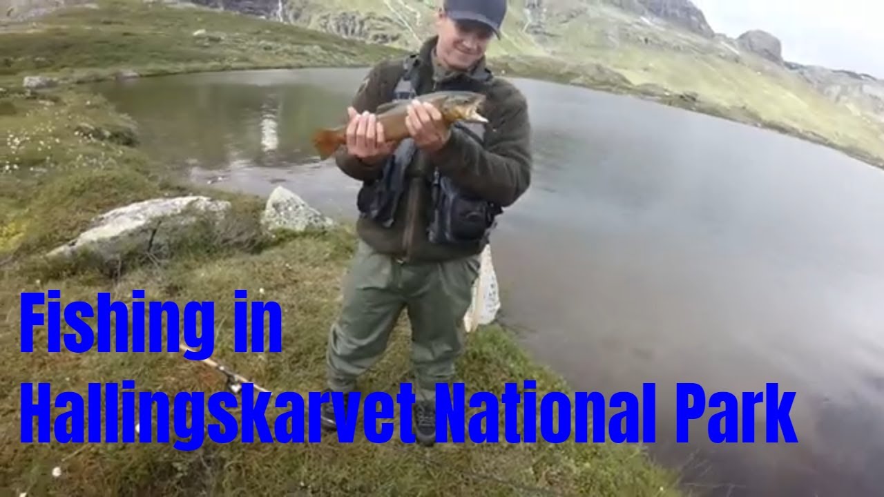 Fiske i Hallingdal og Hallingskarvet nasjonalpark (Fishing in Hallingdal)