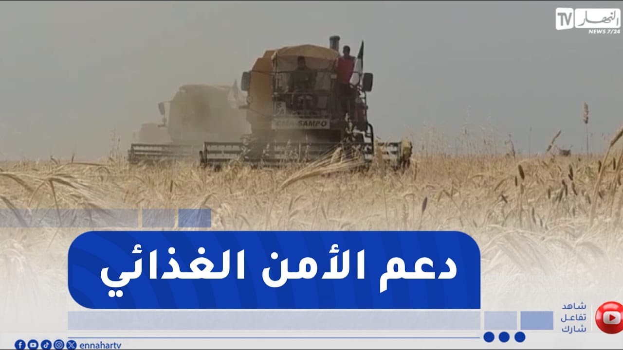 تبسة / تعزيز قدرات تخزين الحبوب بإنجاز مراكز جوارية وصومعة كبرى لدعم الأمن الغذائي