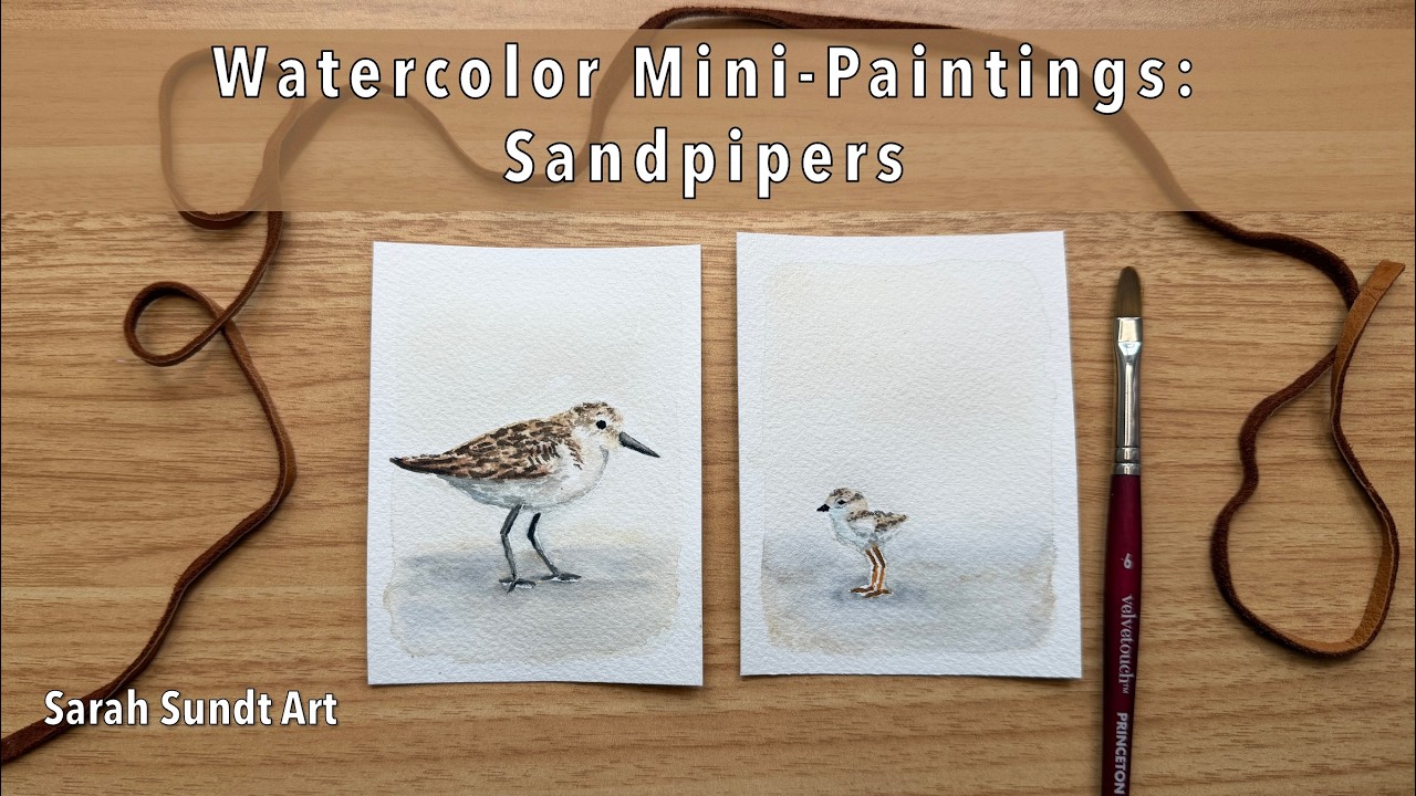 Mini Watercolor Birds: Sandpiper Painting Tutorial