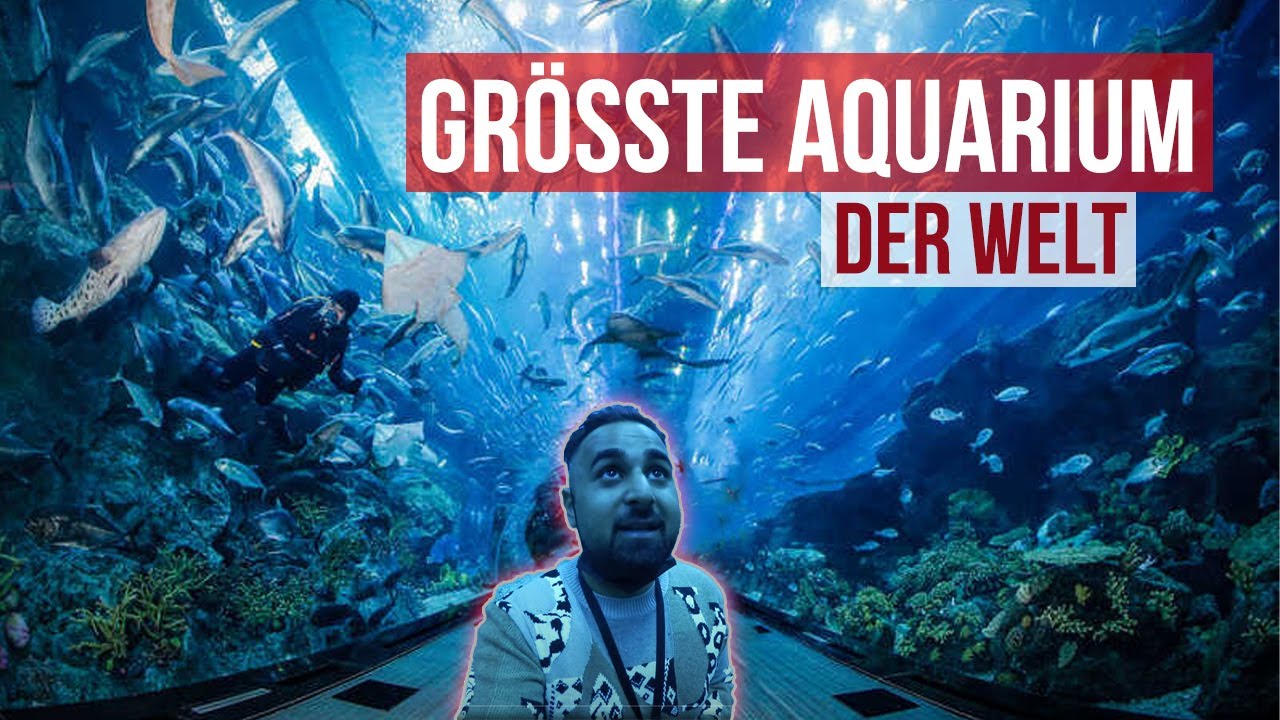 DUBAI AQUARIUM 🐠 Eines der größten Aquarium der Welt🤩🤩  Garnelio meets Dubai 🇦🇪