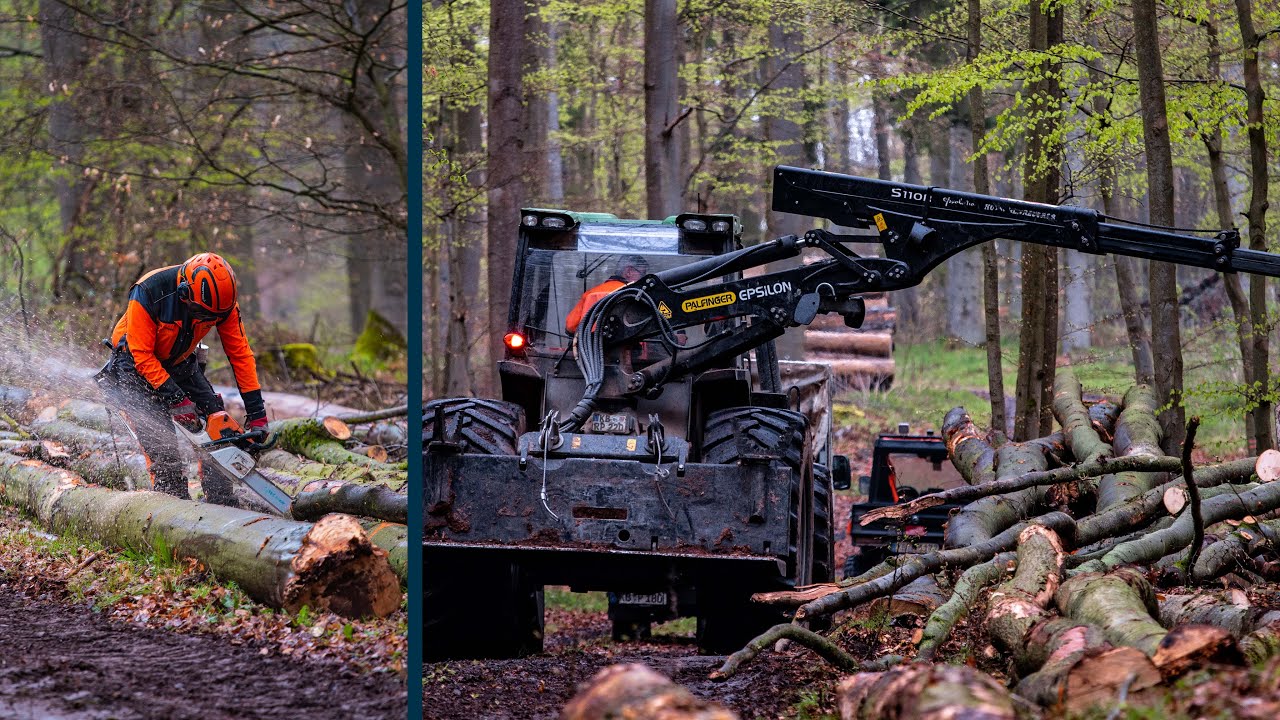 Einsatz im Forst, Kotschenreuther, usw... | 🌳 Hüppe Forst und Agrarservice Meisterbetrieb