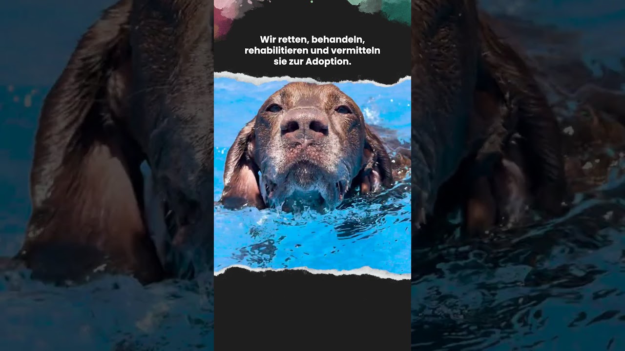 Ein Tag im 