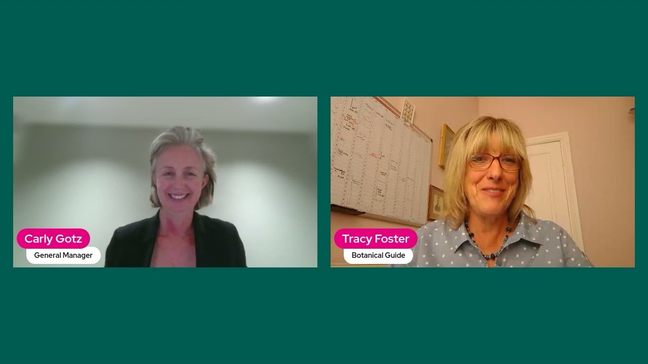 Carly Gotz & Tracy Foster - a conversation on Canary Islands, Portugal & Madeira, and plant hunters