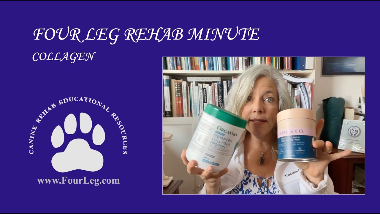 FourLegRehabMinute-Collagen