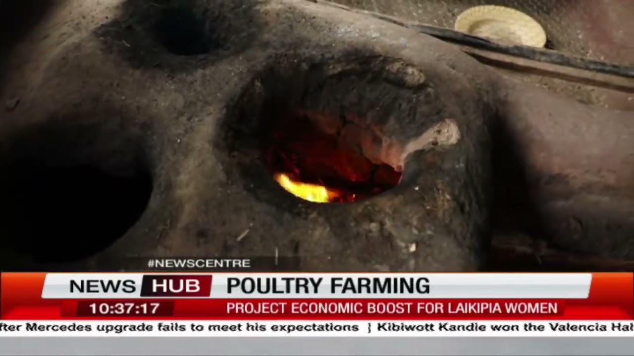 Poultry farming: Women in Laikipia doing conventional poultry farming