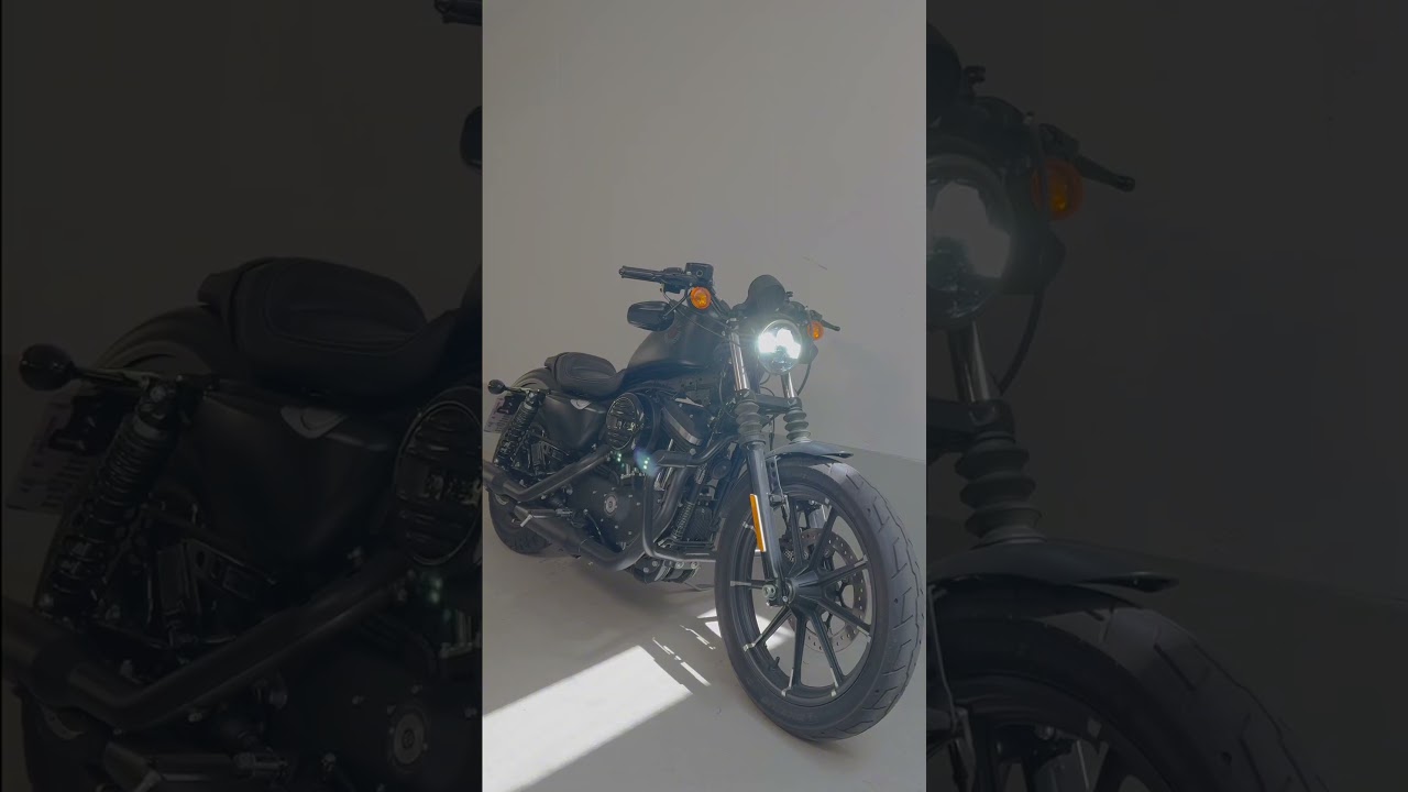 Harley Davidson Iron 883 - living legend #HarleySound #Iron883 #MotorcycleASMR #ColdStart #Shorts