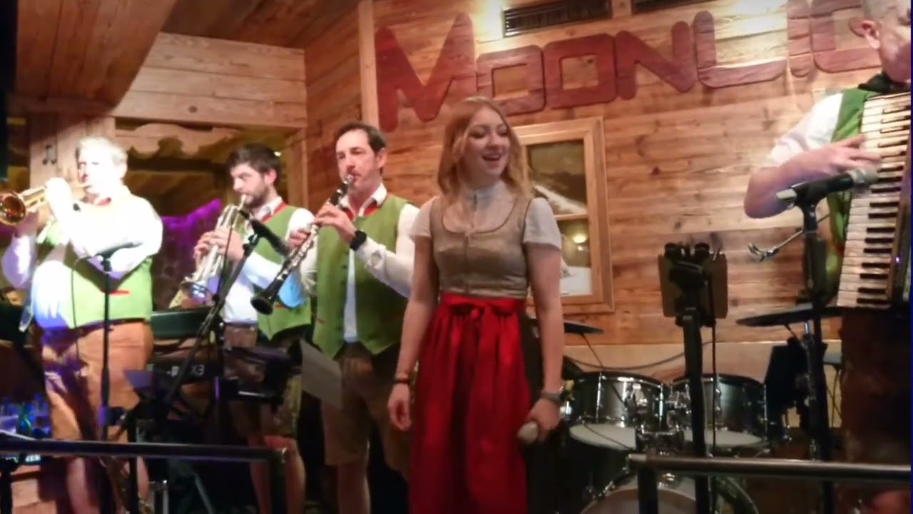 Oberkrainer ALLSTARS (Manfred Gradwohl) - Im Sonnenhof / Veselo na pot