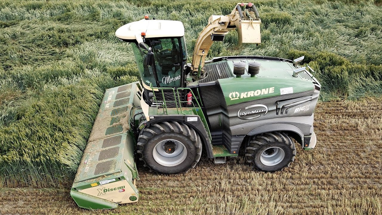 Trinciato Triticale 2021 | Krone Big X 1180 | Parte 2
