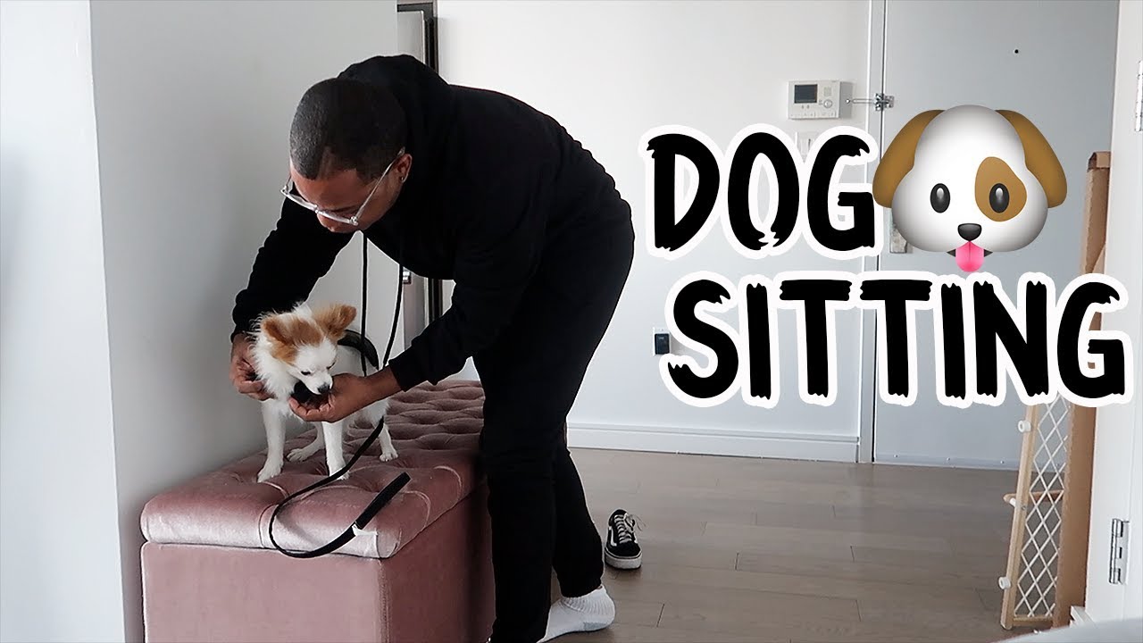 Oh just me and Harlem... | A Baddie Vlog | BaddieTwinz
