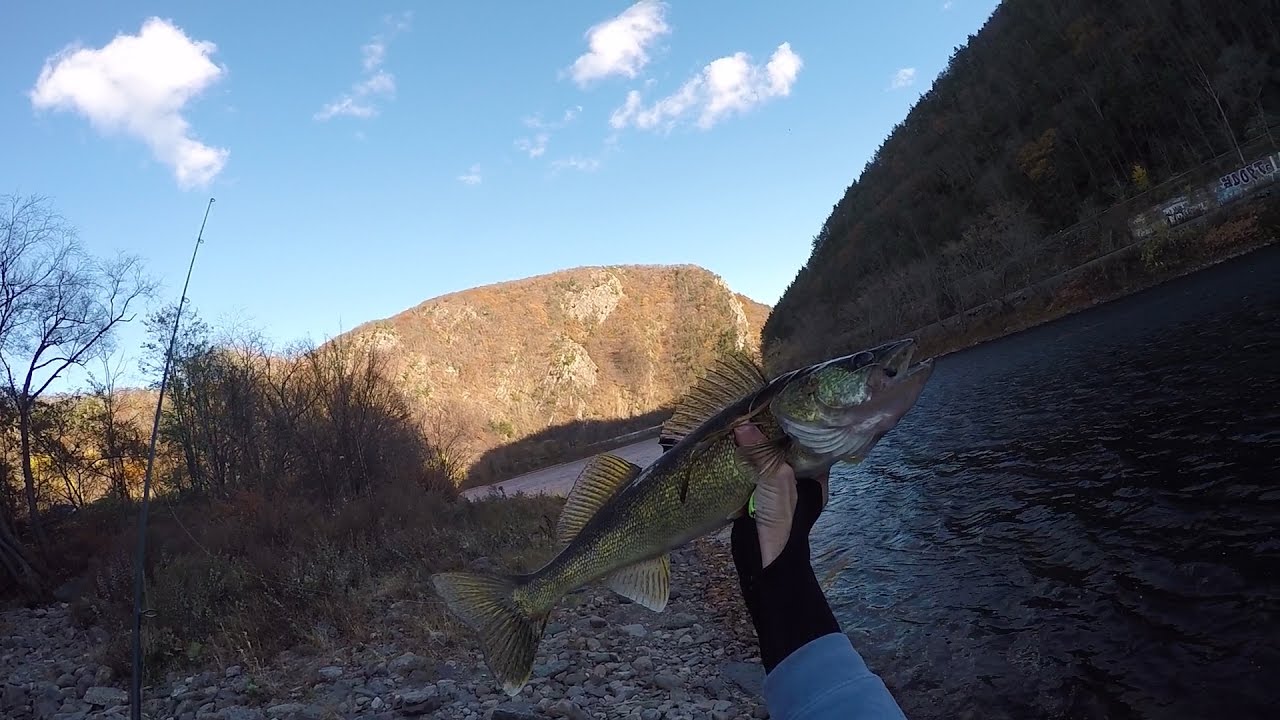 It Just Takes One!! River Fishing