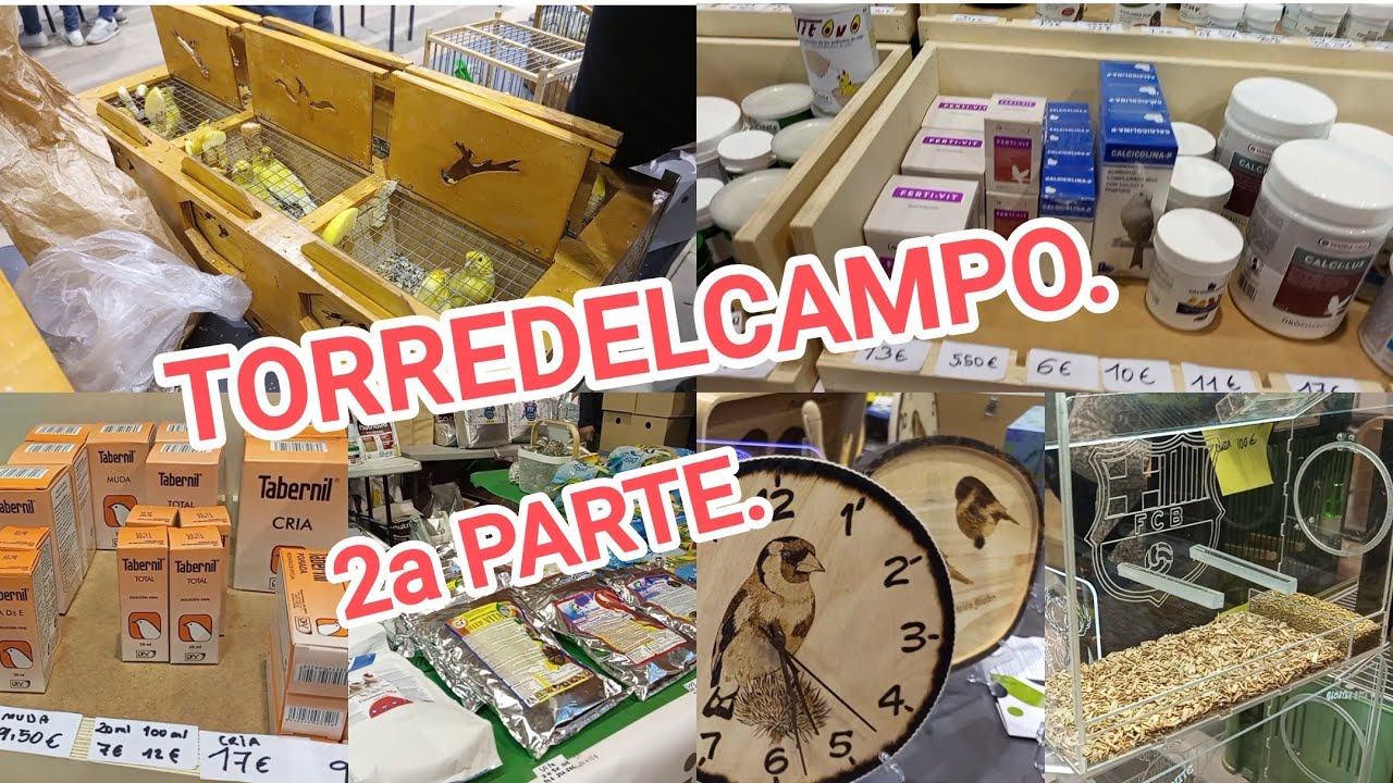👉AVES, ACCESORIOS, PASTAS DE CRIA Y MAS .👈