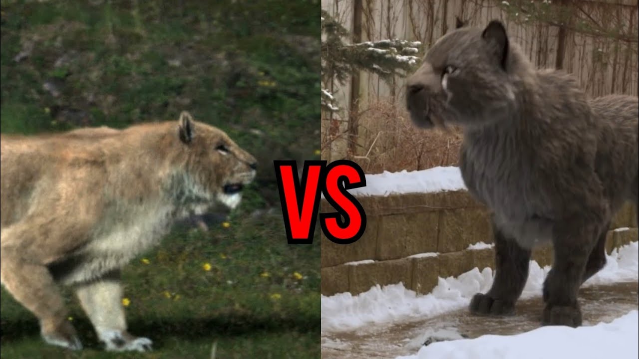 TIGRESA DENTE DE SABRE (Shira) VS LEÃO DA CAVERNA (Ahadi) - Batalha Cenozoica - ep 6