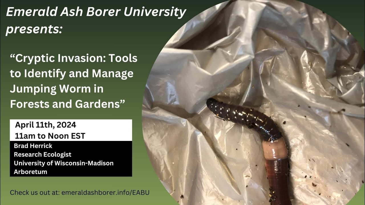 Cryptic Invasion: Tools to Identify and Manage Jumping Worm in Forests and Gardens