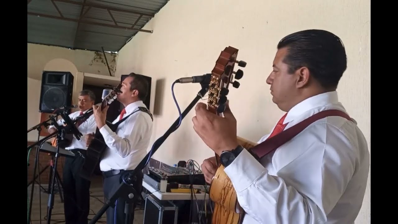 Déjame quererte -Trío Los Eminentes #music #guitar #love #musica #lovesong #bolero 