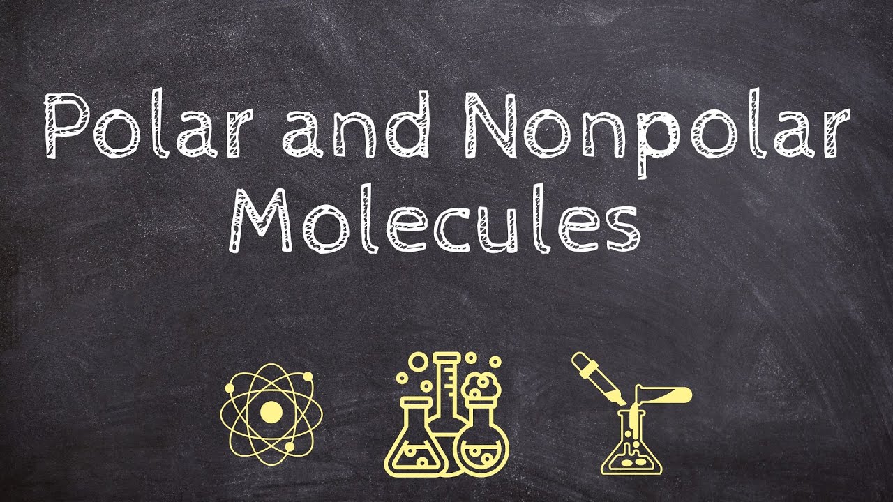الجزيئات القطبية وغير القطبية - Polar and Nonpolar Molecules