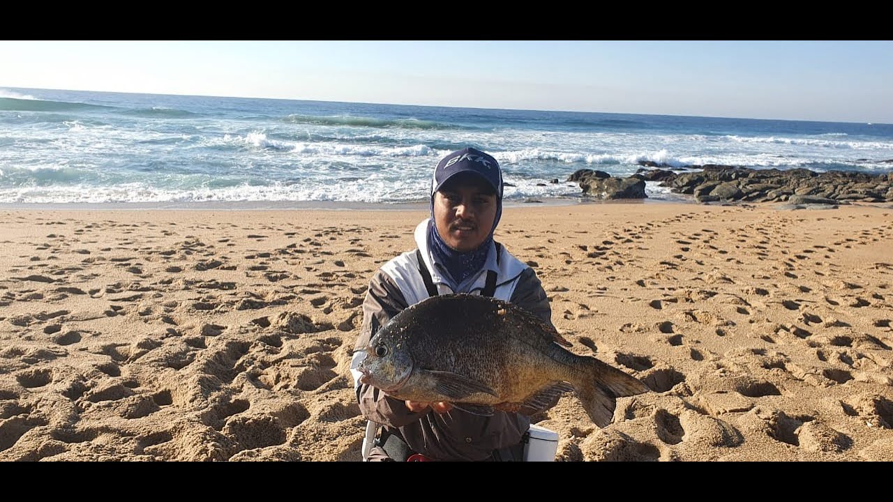 Chasing Bronze Bream Part 2 - Double up #fishing #bronzebream