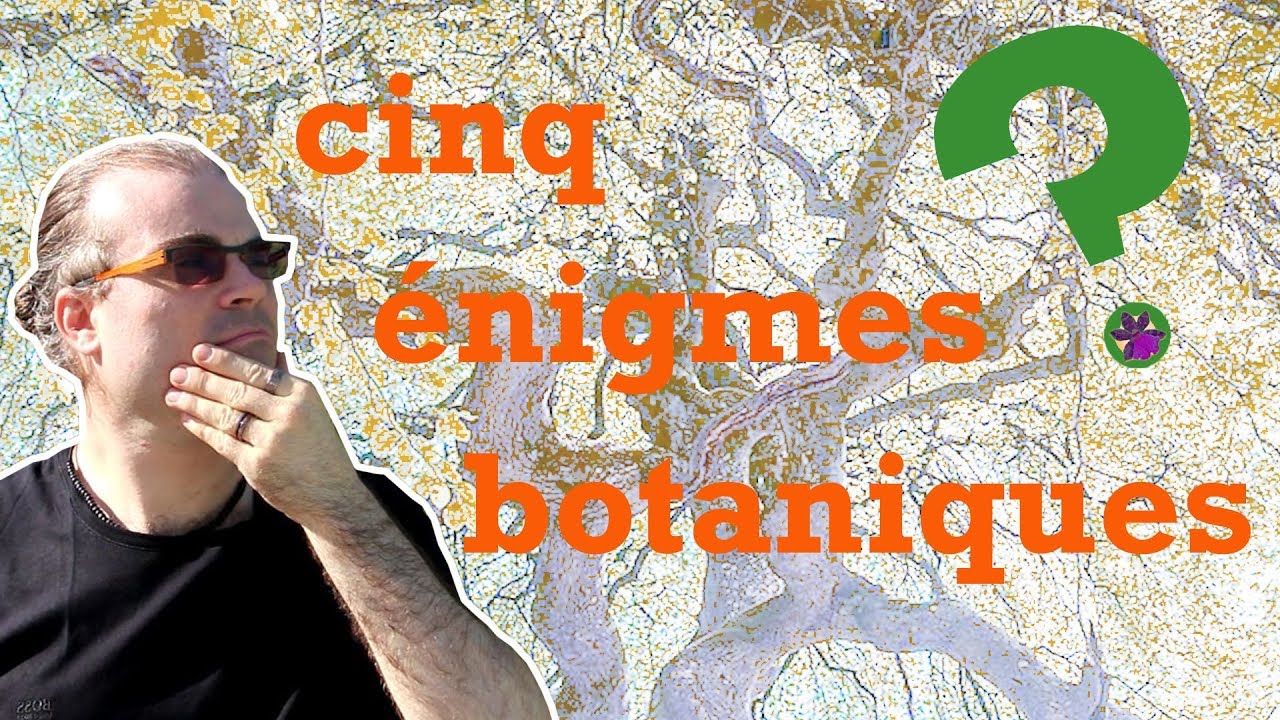 Les plantes les plus mystérieuses du monde !