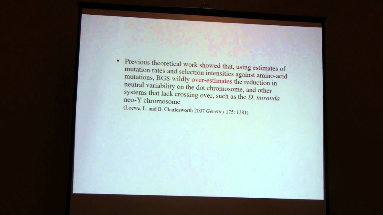 Background selection and patterns of molecular evolution and variation, part 1 of 2