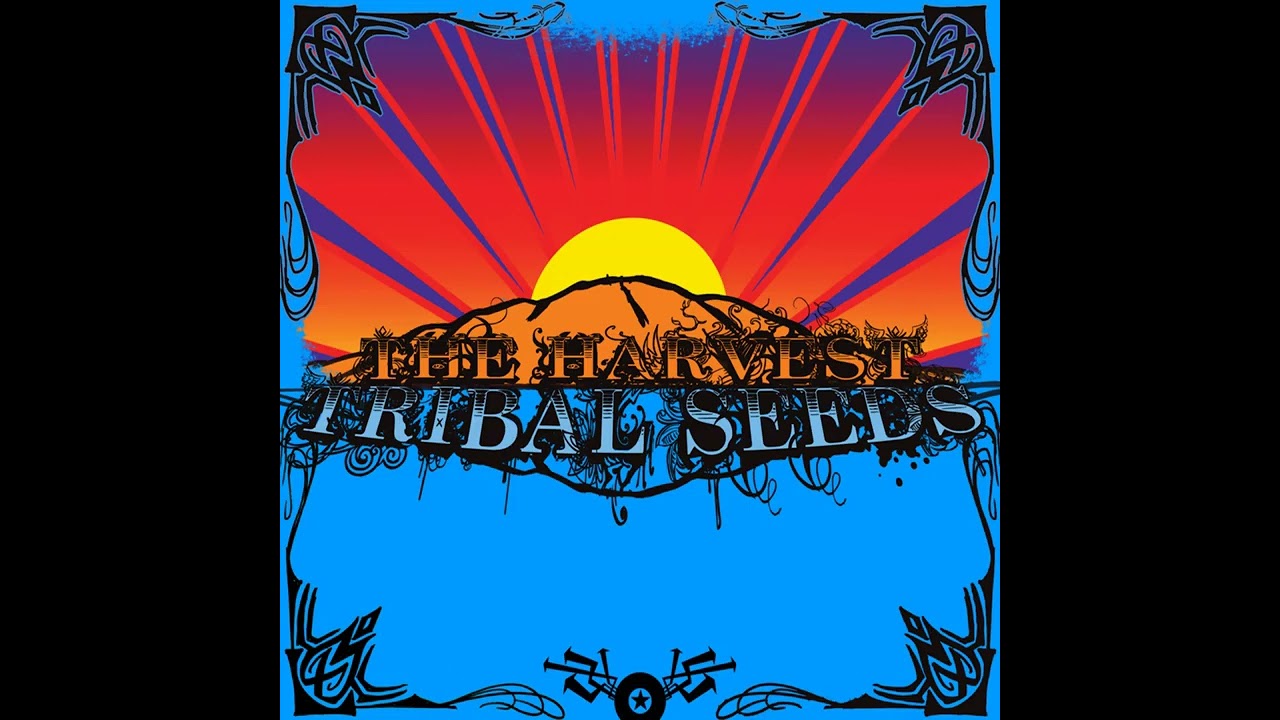 Tribal Seeds - 144,000
